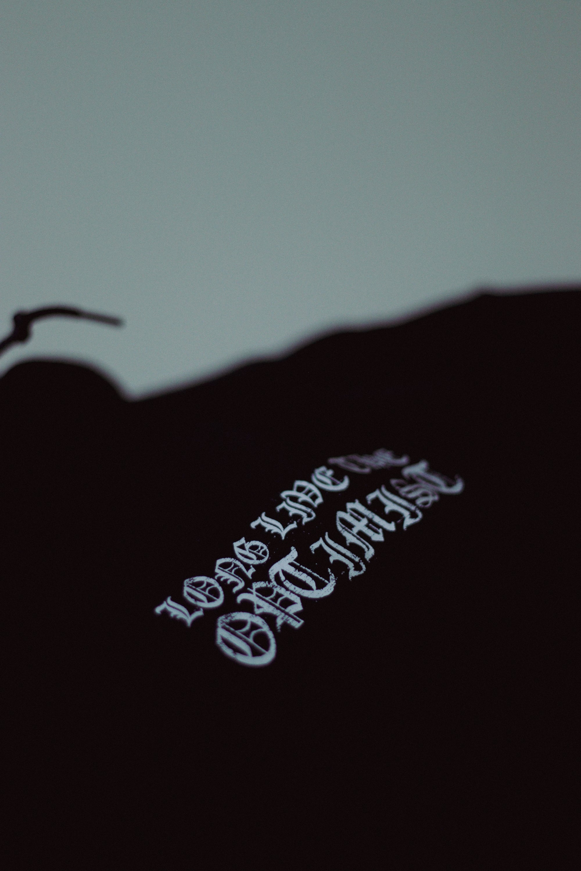 Long Live the Optimist Hoodie