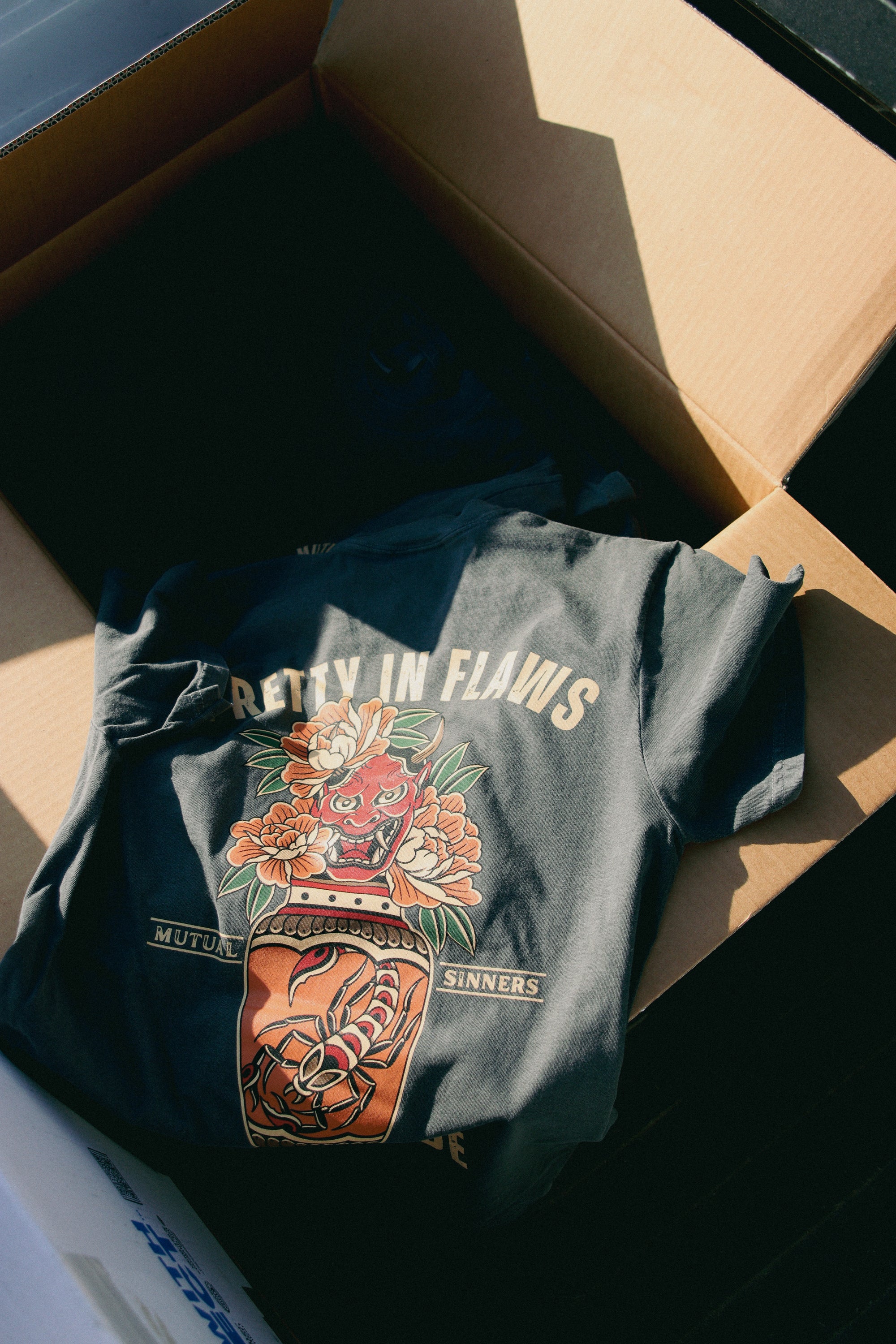 Pretty in Flaws & Fortitude T-shirt