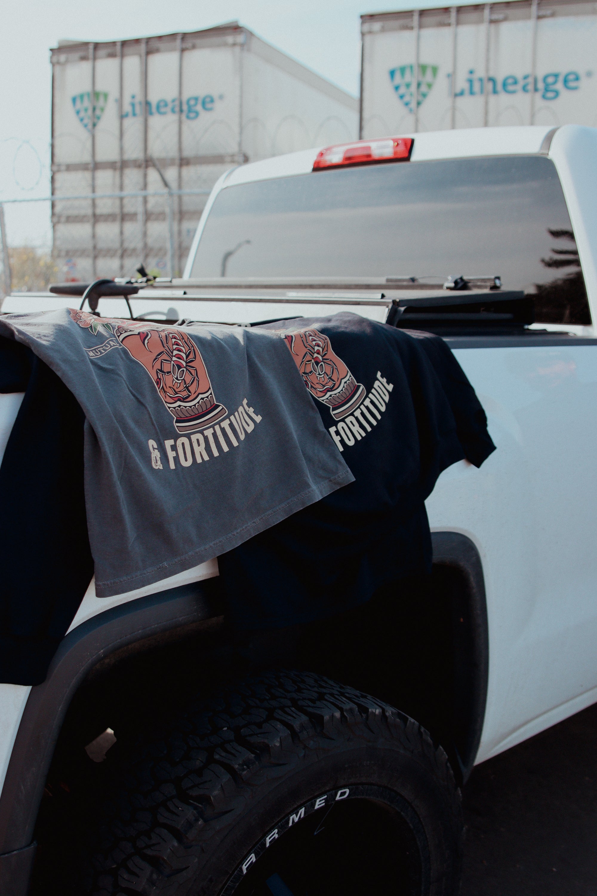 Pretty in Flaws & Fortitude T-shirt