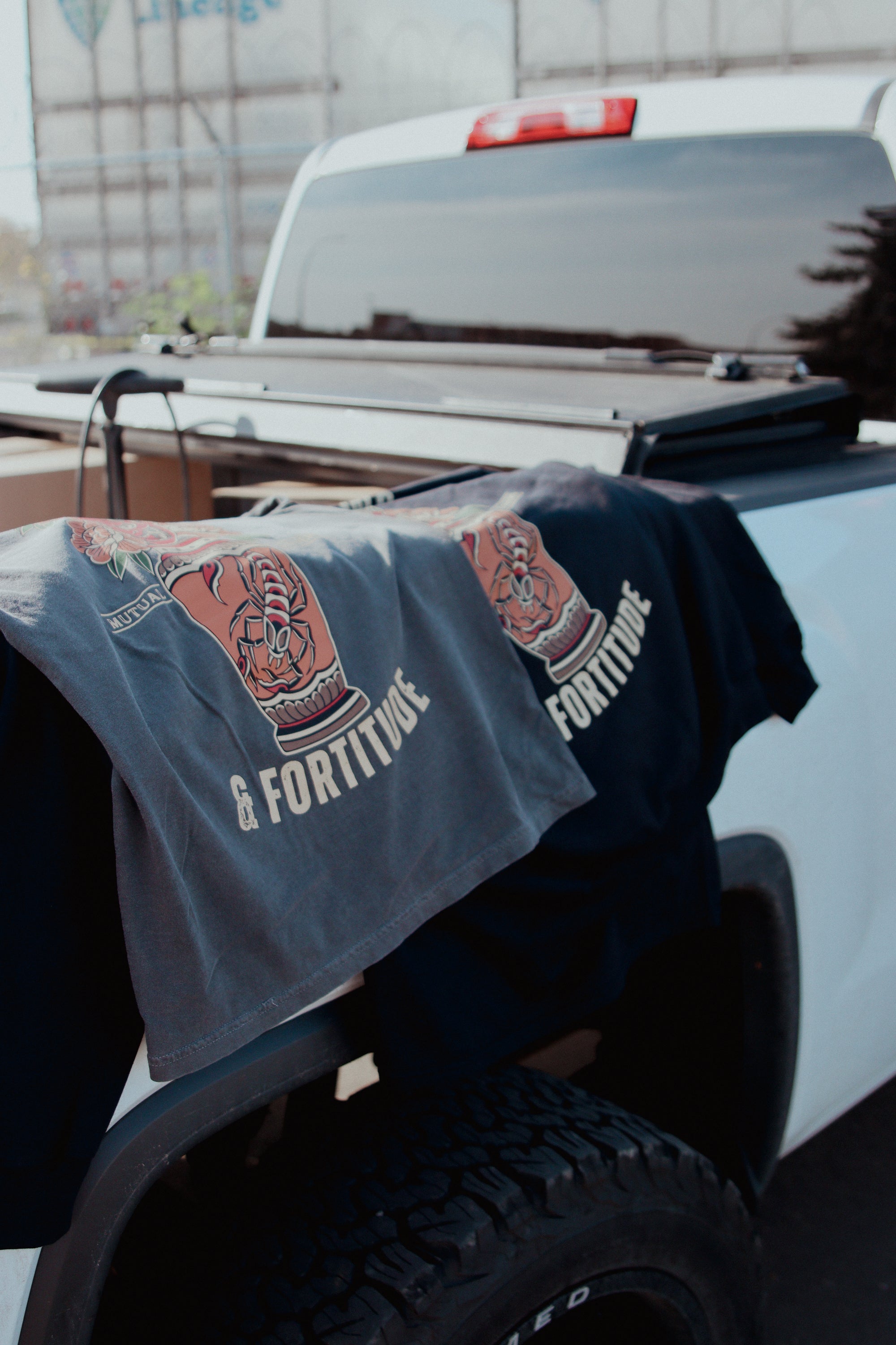 Pretty in Flaws & Fortitude T-shirt